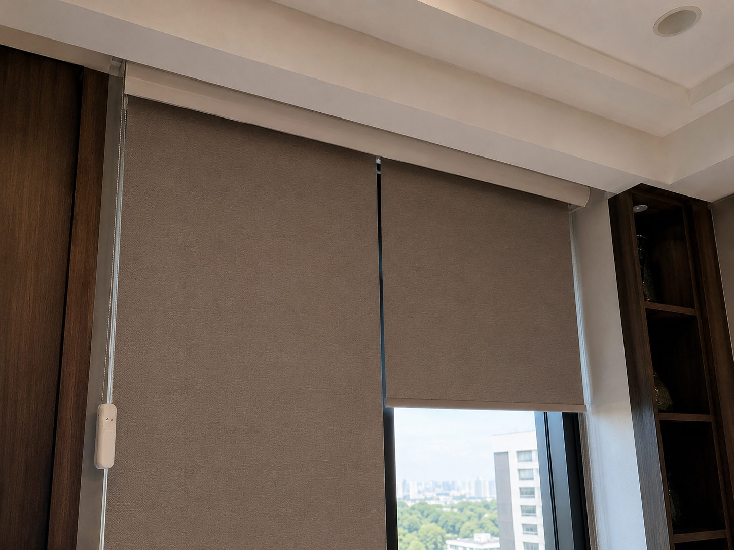 Motorised Zebra Blinds